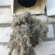 Safeguard Dryer Vent Cleaning