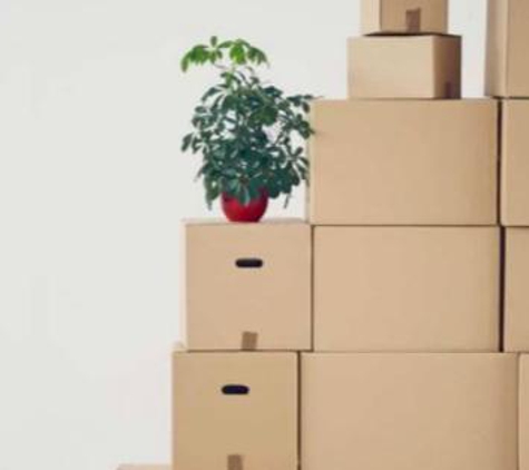 Coffs Harbour Furniture Removals & Storage - Korora, NSW. They did my packing