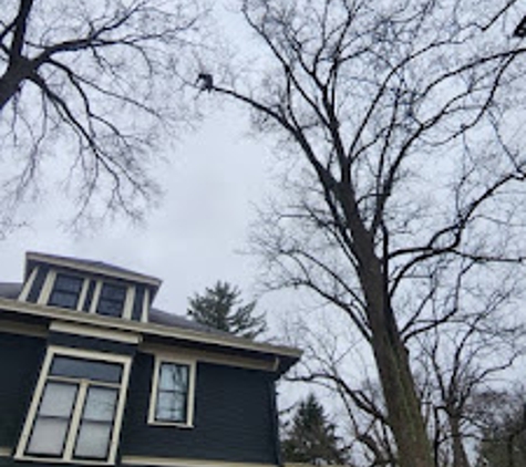 Madison Tree Care & Landscaping, Inc. - Milford, OH