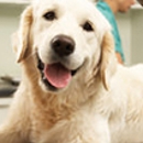 Platte  Woods Animal Hospital - Veterinary Clinics & Hospitals