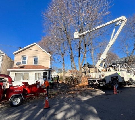 J & J Tree Services - Herkimer, NY