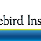 Bluebird Insurance