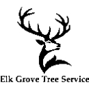 Elk Grove Tree Service - Tree Service