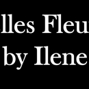 Belles Fleures by Ilene - Florists