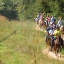 Confederate Trails of Gettysburg - Sightseeing Tours