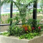 Creative Interior Plantscapes