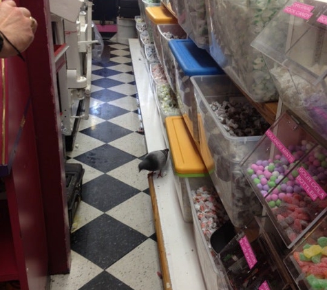 Carousel Candies - Monterey, CA