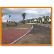 Gallery Image Number 7