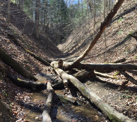 Shades State Park - Waveland, IN