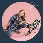 Go Anywhere Dog - Puppy Training School