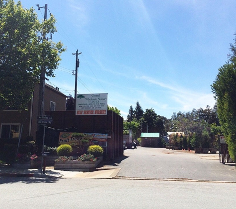 Central Wholesale Nursery - San Jose, CA