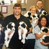 Ash  Creek Animal Hospital & Spa gallery