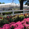 Comisky's Greenhouses Inc gallery