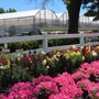 Comisky's Greenhouses Inc