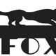 Fox Auto Group