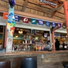 Nauti Parrot gallery