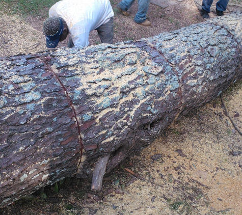 Real Tree Guys Tree Service