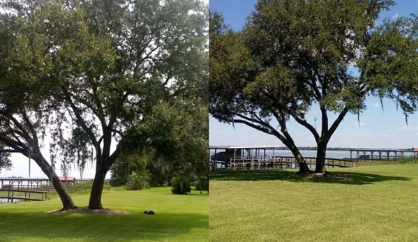 Kats Tree Service - Sorrento, FL