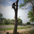 Montgomery Tree Service - Tree Service