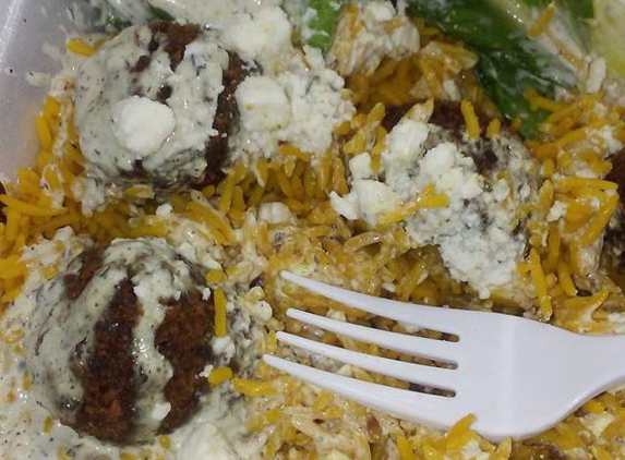 The Gab Shack - Wrightstown, NJ. vegetarian falafel over rice