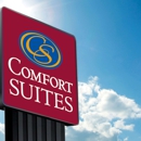 Comfort Inn & Suites West Des Moines - Motels
