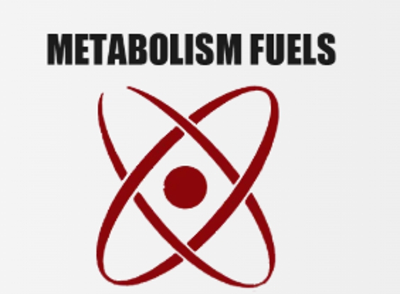 Metabolism Fuels