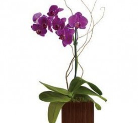 Citywide Florist NYC - New York, NY. Orchids Elegance:
Elevate your space with the timeless beauty of orchids. Our exquisite orchid collection boasts a variety of colors and siz