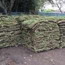 Williams Soils & Sod - Sod & Sodding Service