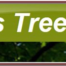 Pinellas Tree Service - Stump Removal & Grinding