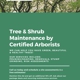 King Tree Services LLC