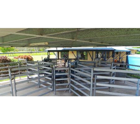 Beef Breeding Services Pty Ltd - Parkhurst, QLD