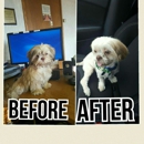 U Lucky Dog Pet Salon - Pet Specialty Services