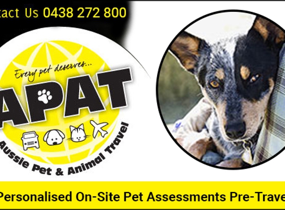 Aussie Pet & Animal Travel - Greenbank, QLD. Personalised On-Site Pet Assessments Pre-Travel