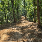 MBP Land Clearing