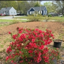Nelson Stump & Land Clearing - Forestry Consulting