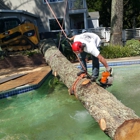 Hodgin & Son Tree Service