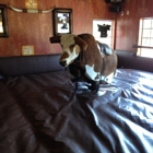El Dorado Saloon & Grill