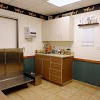 Orchard Road Animal Hospital gallery