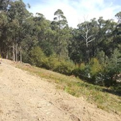 Gallery Image Number 1