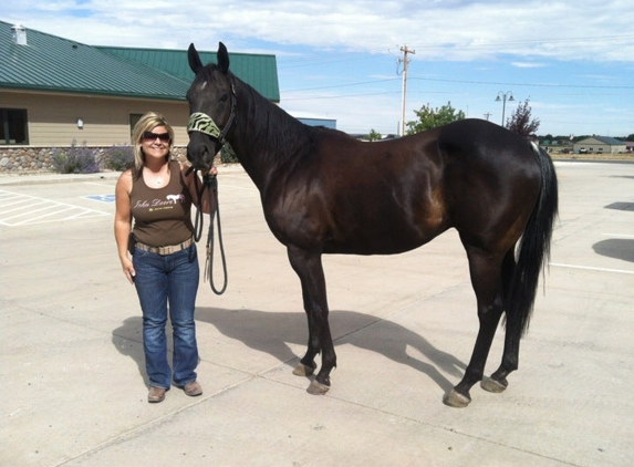 Alpine Animal Hospital - Laramie, WY