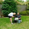 Obedience Dog Training gallery