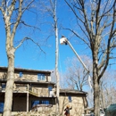 Ideal Tree Service LLC. - Tree Service