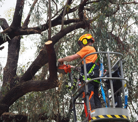 Nelson's Tree Services