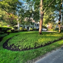 Lawn Management - Lawn Maintenance