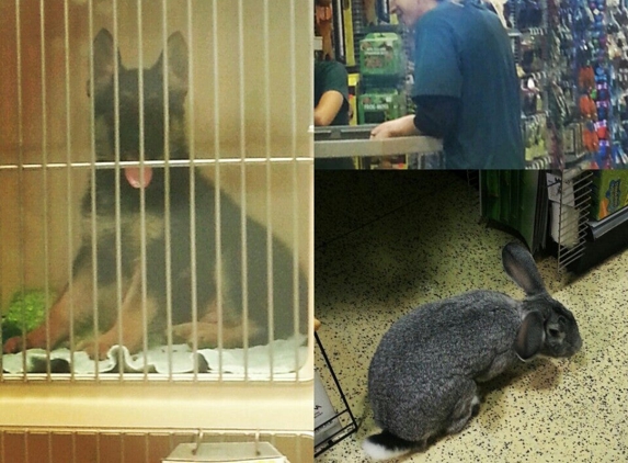 Today's Pet Inc - Elkridge, MD