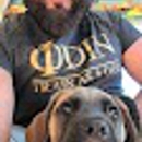 Bluegrass Veterinary Hospital P - Pet Services