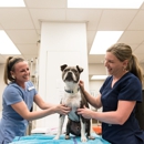 Animal Medical Center of Mt. Pleasant - Veterinary Clinics & Hospitals