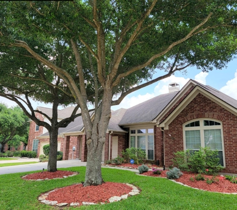 Texas Tree Care - Spring, TX