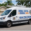 Animal Control & Removal Tampa - Pest Control Services