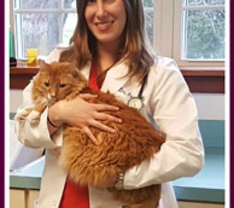 Silver Maple Veterinary Clinic - Kutztown, PA